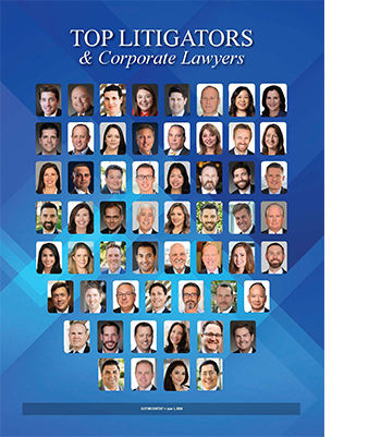 Top Litigators & Corporate Lawyers